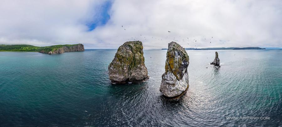 Qiz va maymun jinsiy aloqa video onlayn